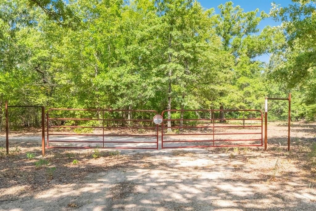 59.95 acres in Hopkins County gallery image 3