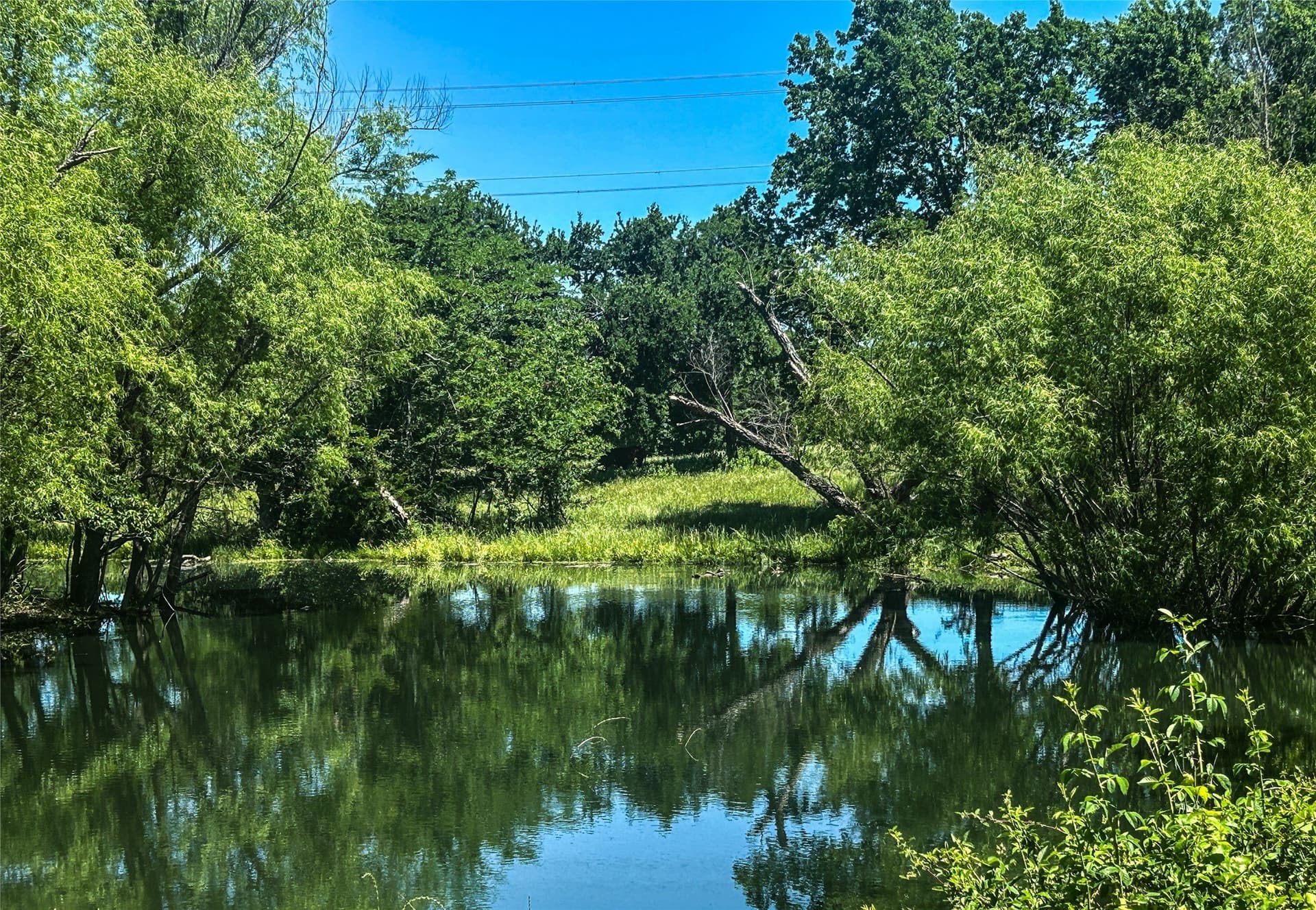 17.12 acres in Collin County - photo 32