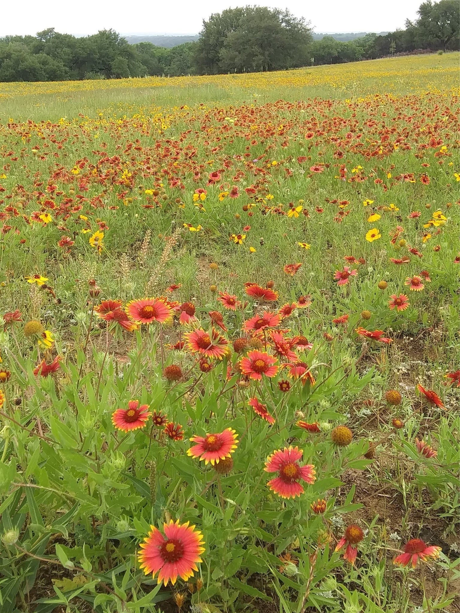 13.58 acres in Somervell County featured view