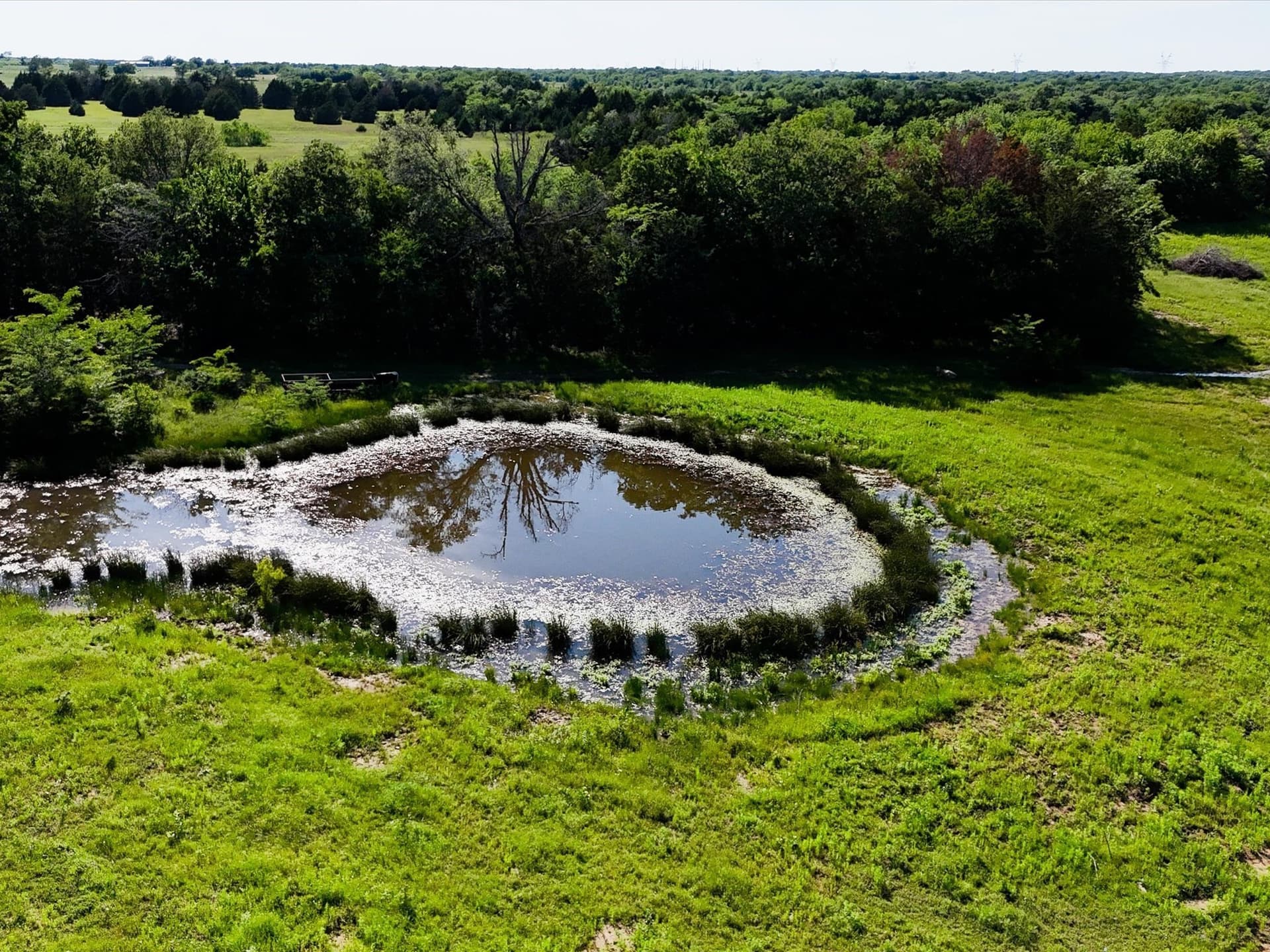 60 acres in Hunt County - photo 7