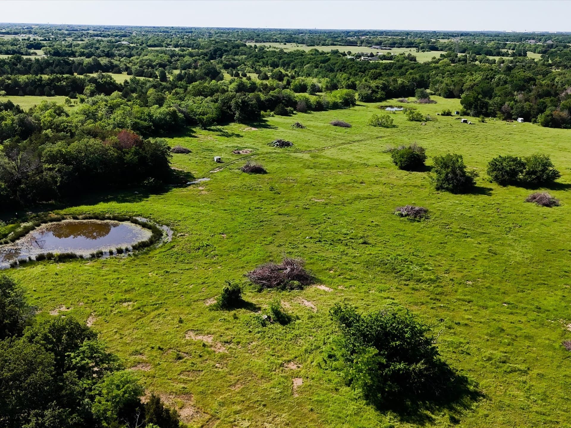 60 acres in Hunt County gallery image 4