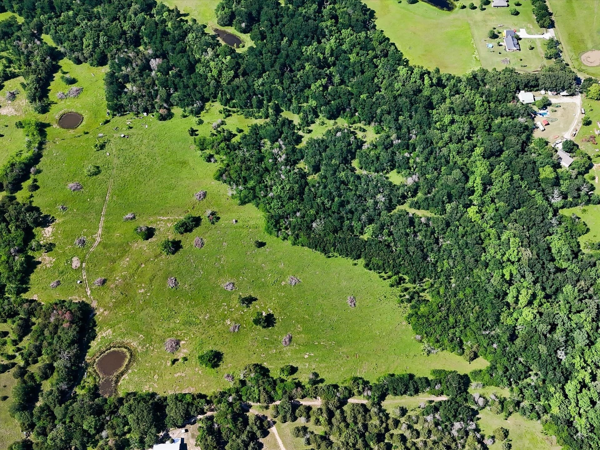 60 acres in Hunt County - photo 18