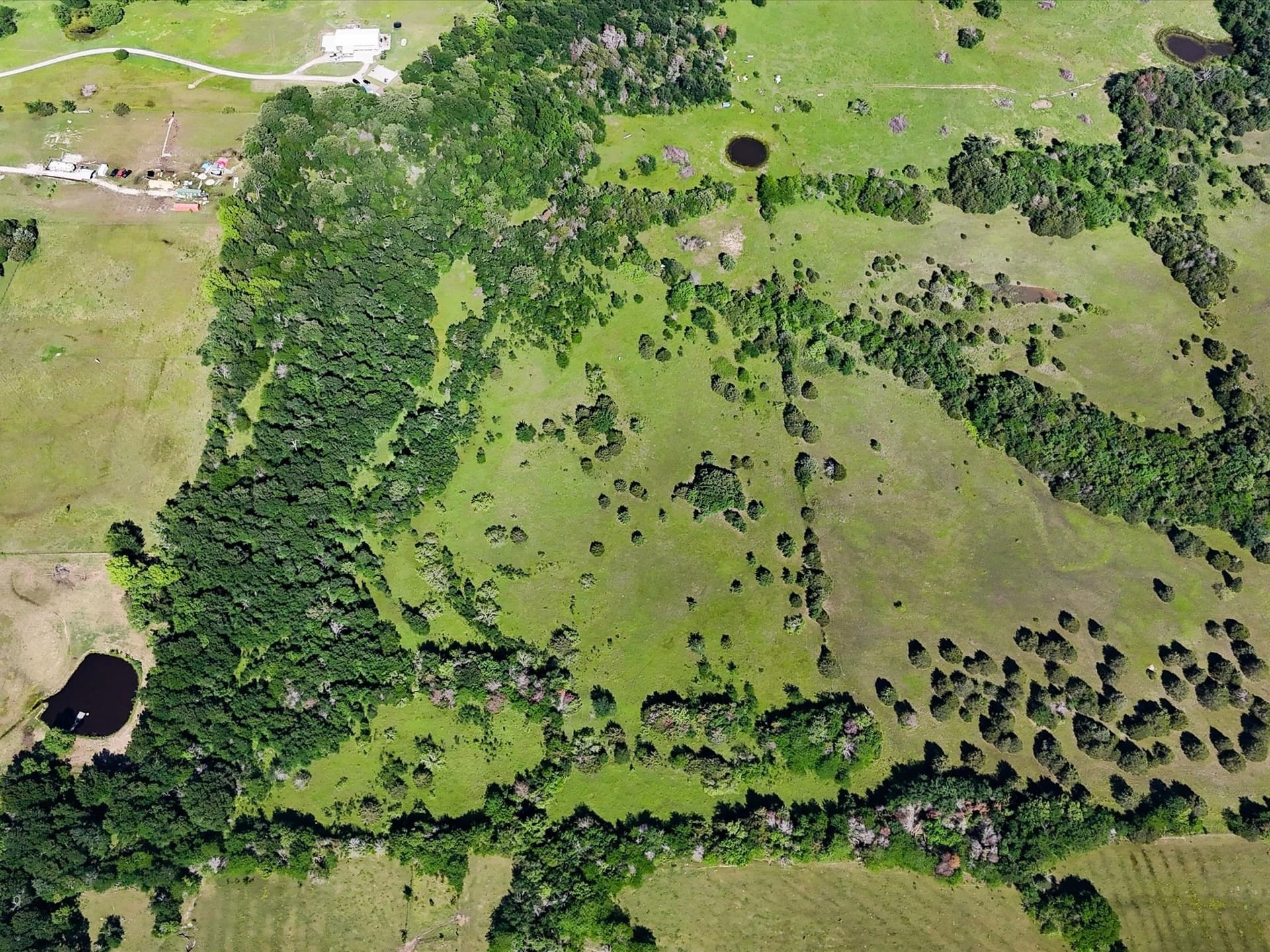 60 acres in Hunt County - photo 23