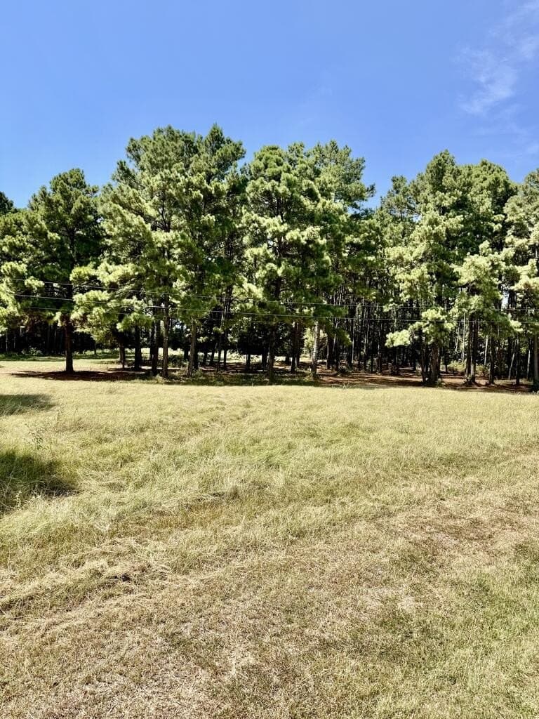 21.53 acres in Texas County - photo 37