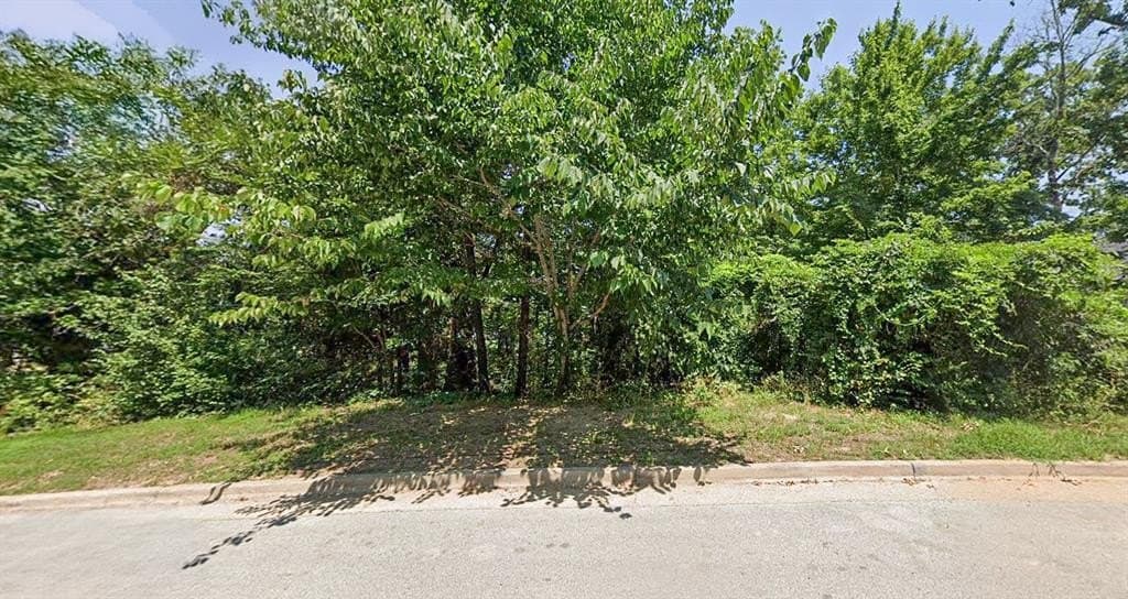 0.86 acres in Smith County gallery image 3