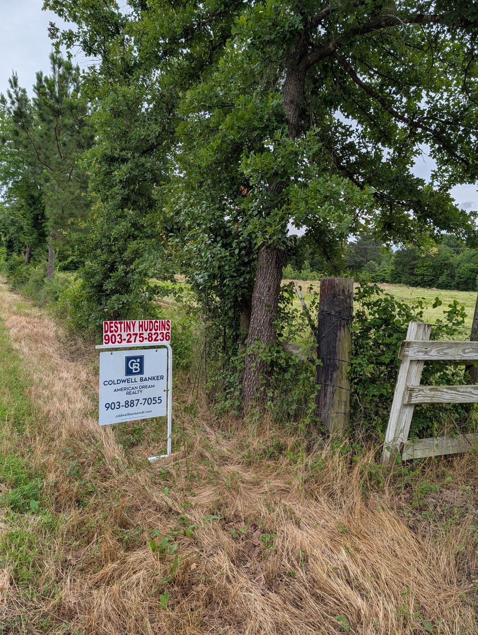 2 acres in Wood County gallery image 4