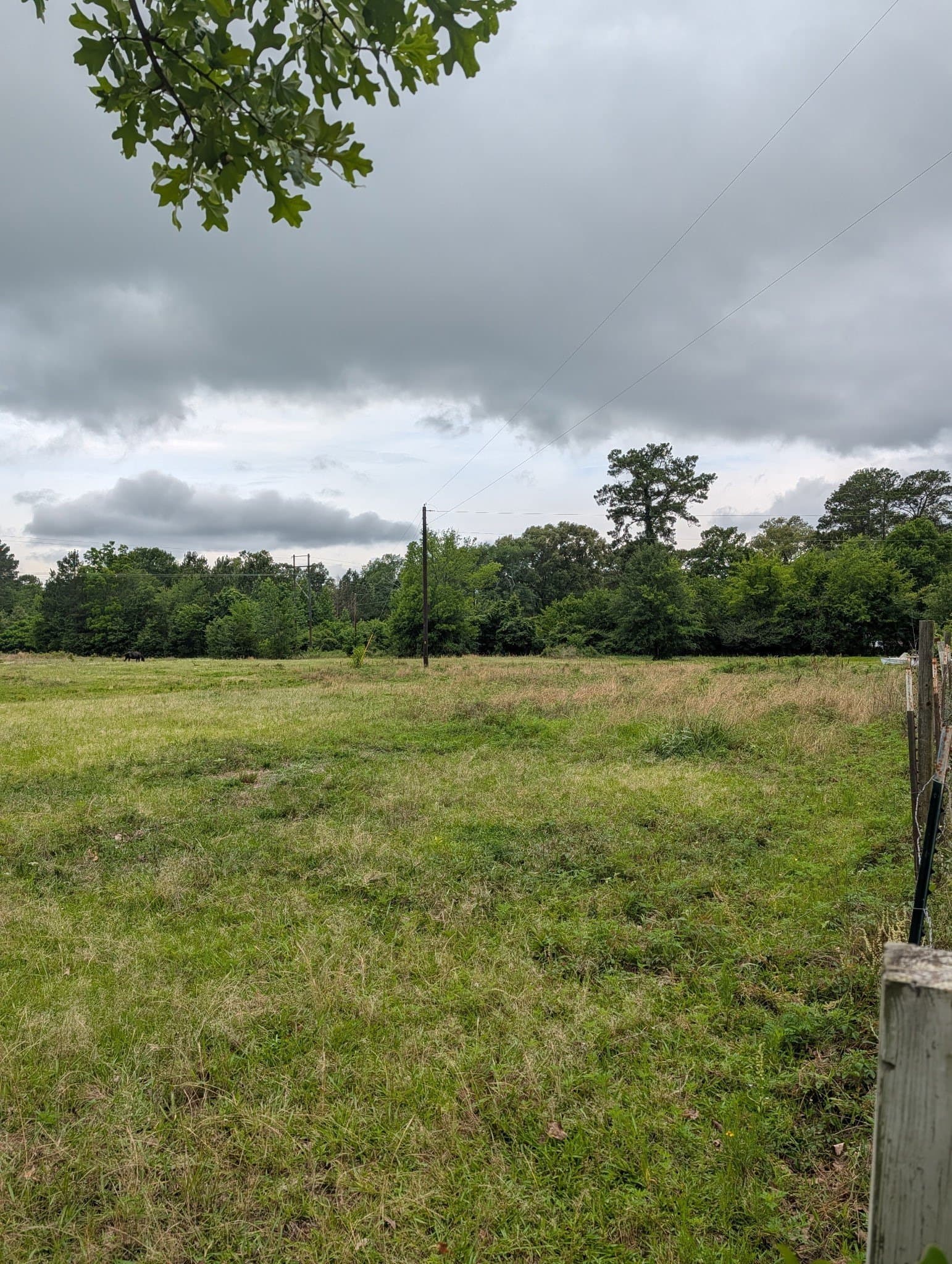 2 acres in Wood County featured view