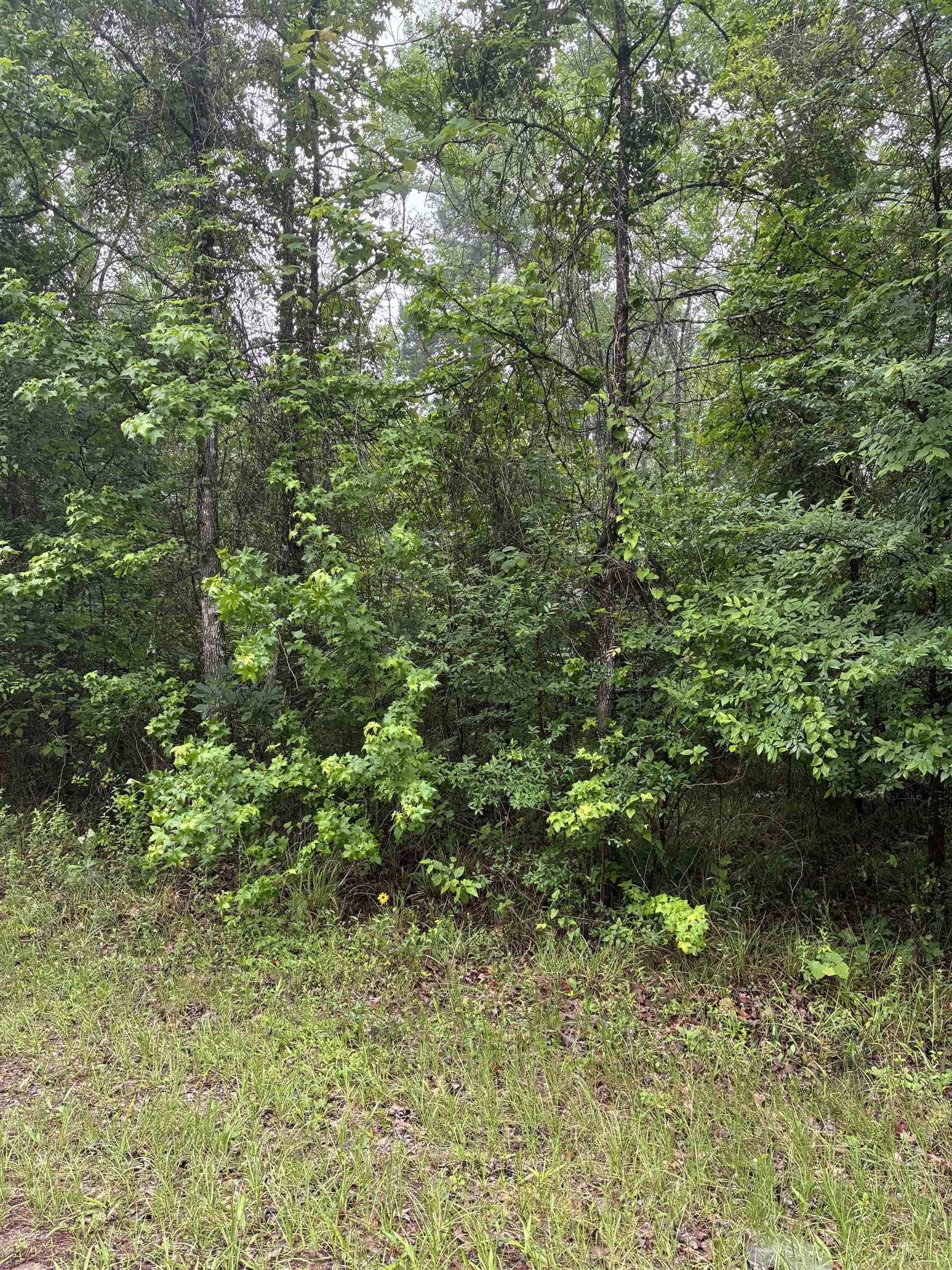 0.13 acres in Texas County gallery image 2