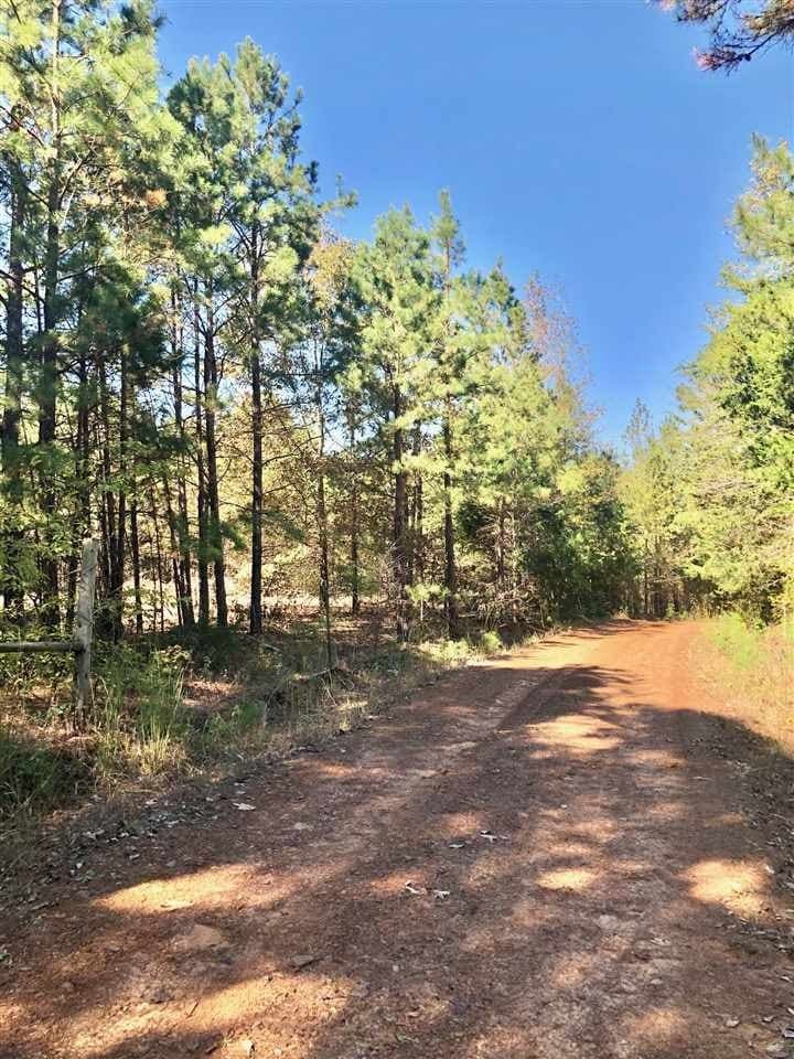 33.81 acres in Smith County gallery image 2