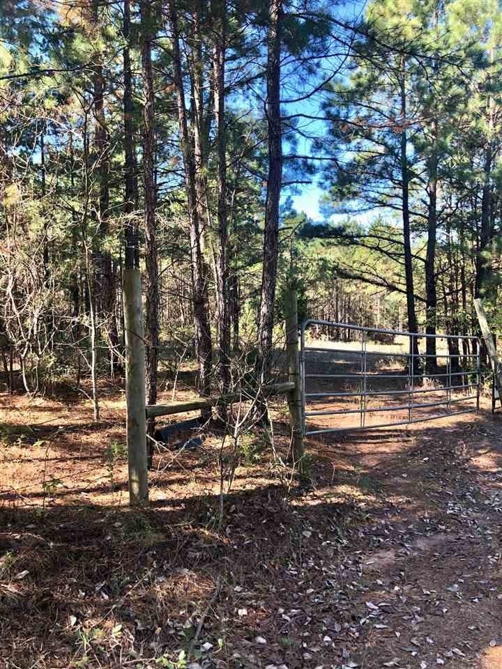 33.81 acres in Smith County