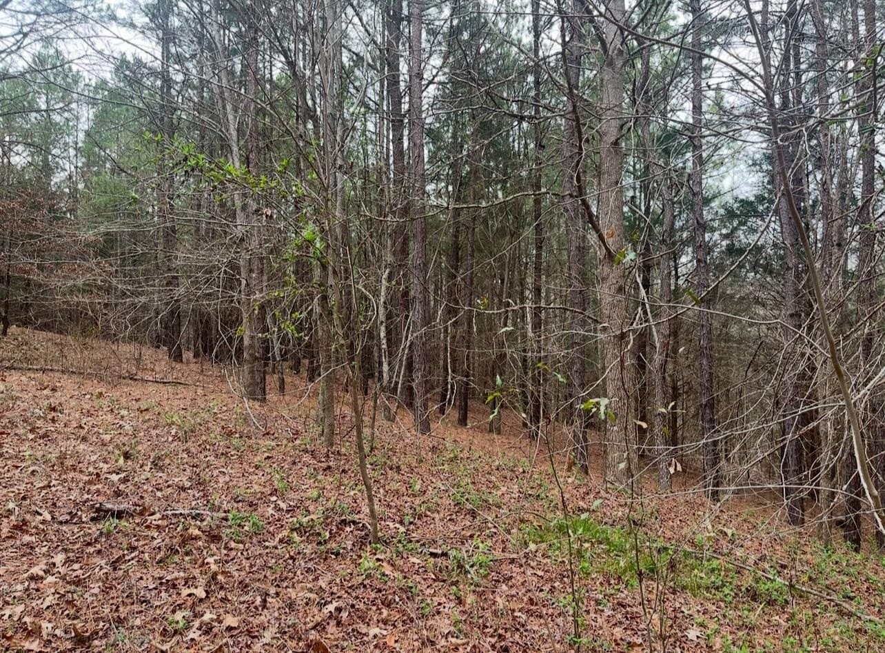 33.81 acres in Smith County - photo 16