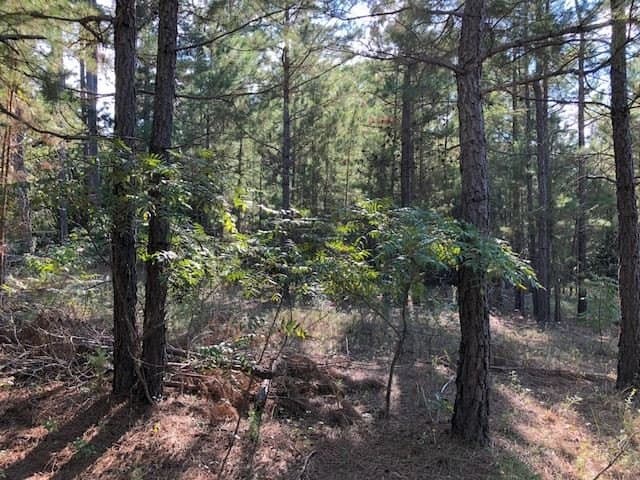 33.81 acres in Smith County - photo 18