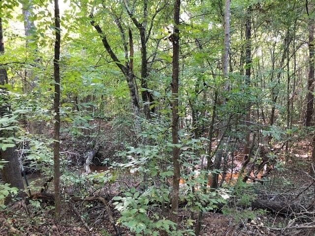 33.81 acres in Smith County - photo 19