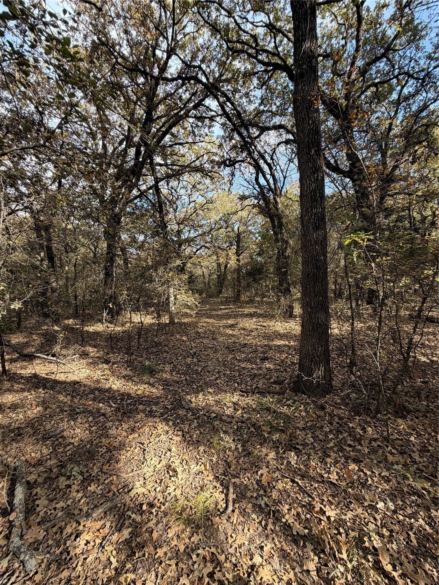 19.84 acres in Wise County - photo 18