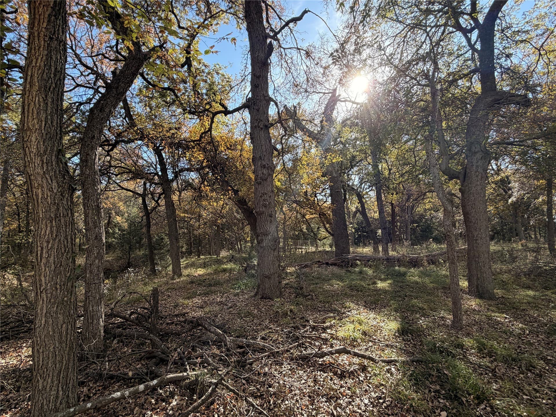 19.84 acres in Wise County - photo 10