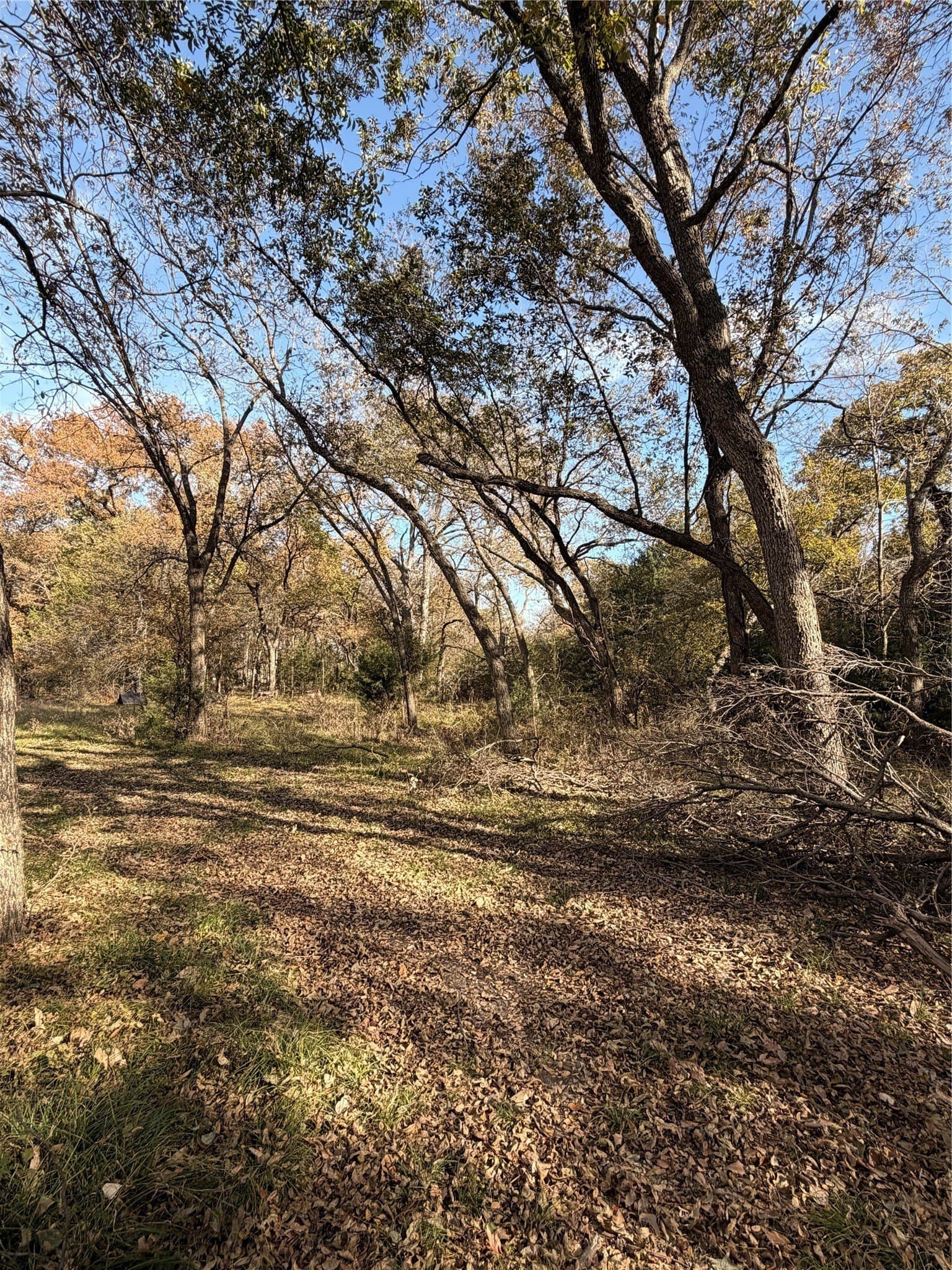 19.84 acres in Wise County - photo 35
