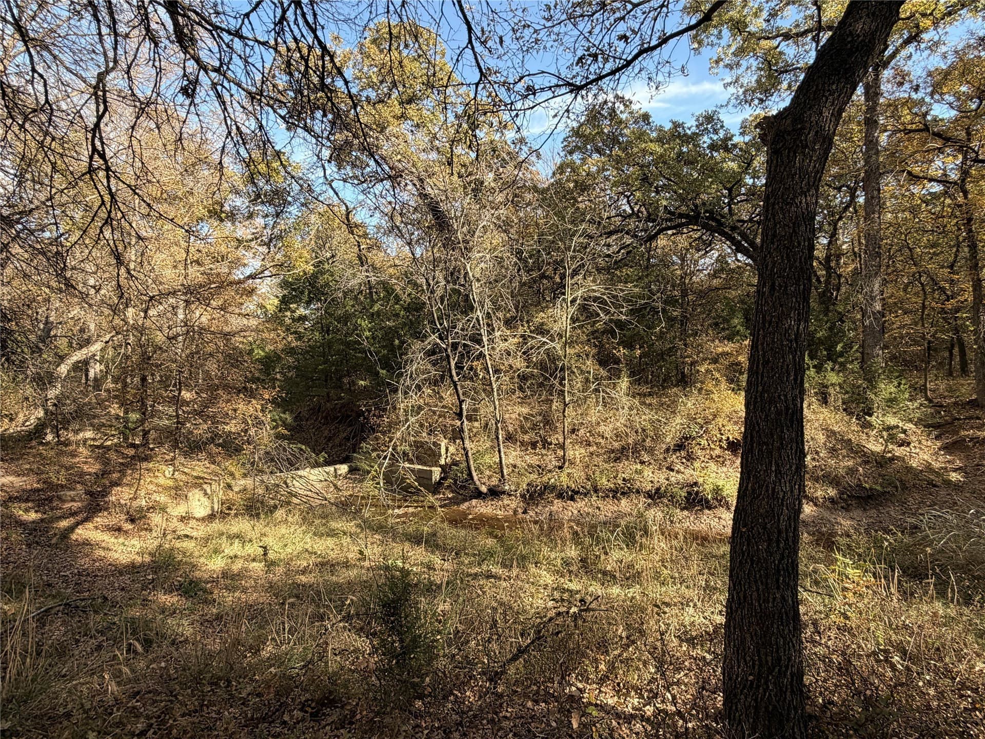 19.84 acres in Wise County - photo 30
