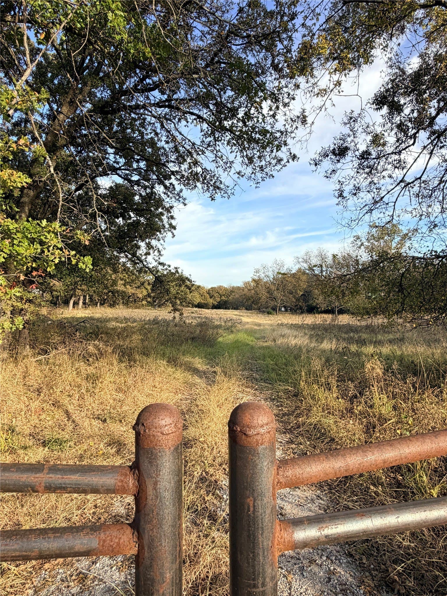 19.84 acres in Wise County - photo 8