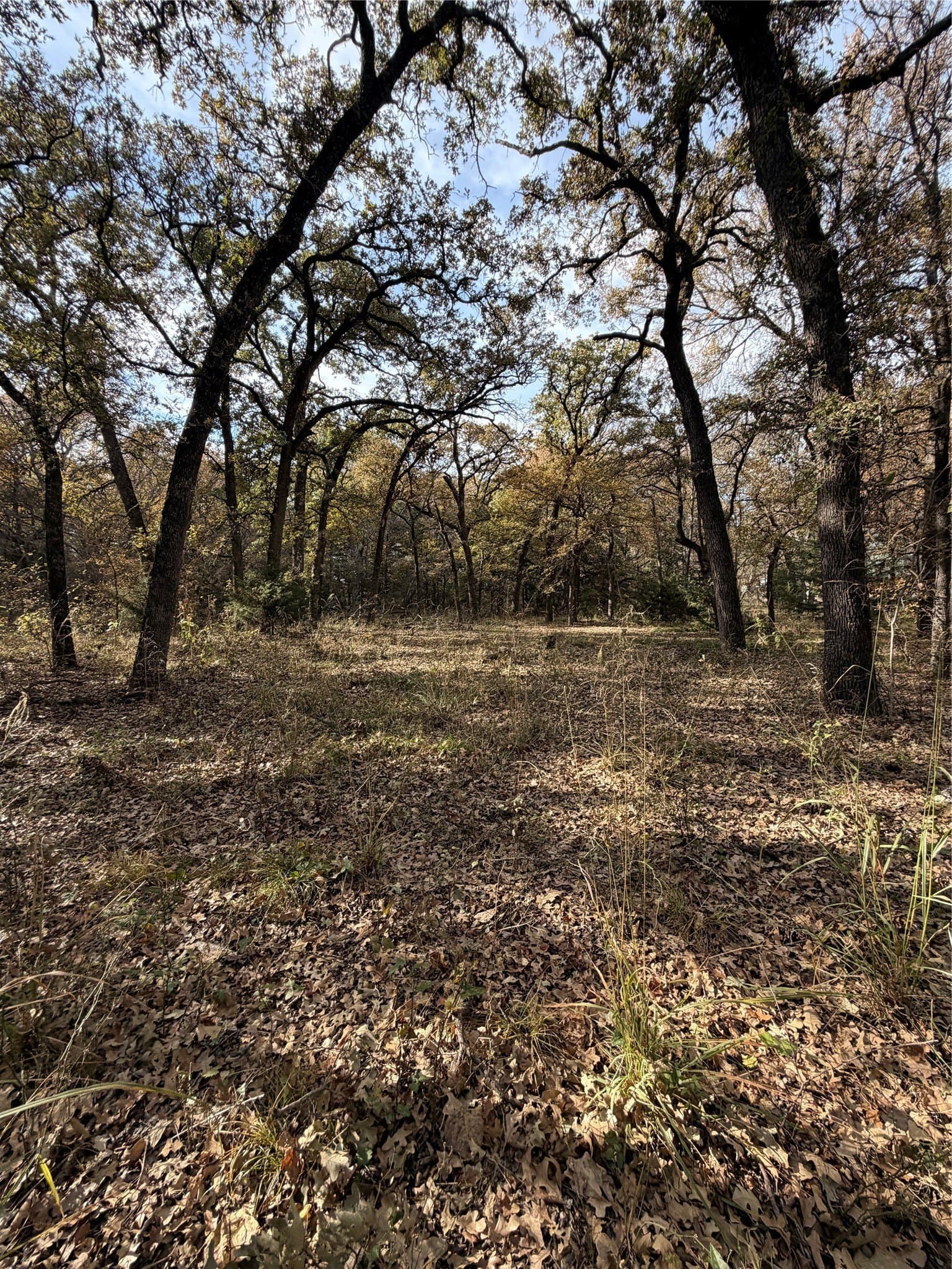 19.84 acres in Wise County - photo 23