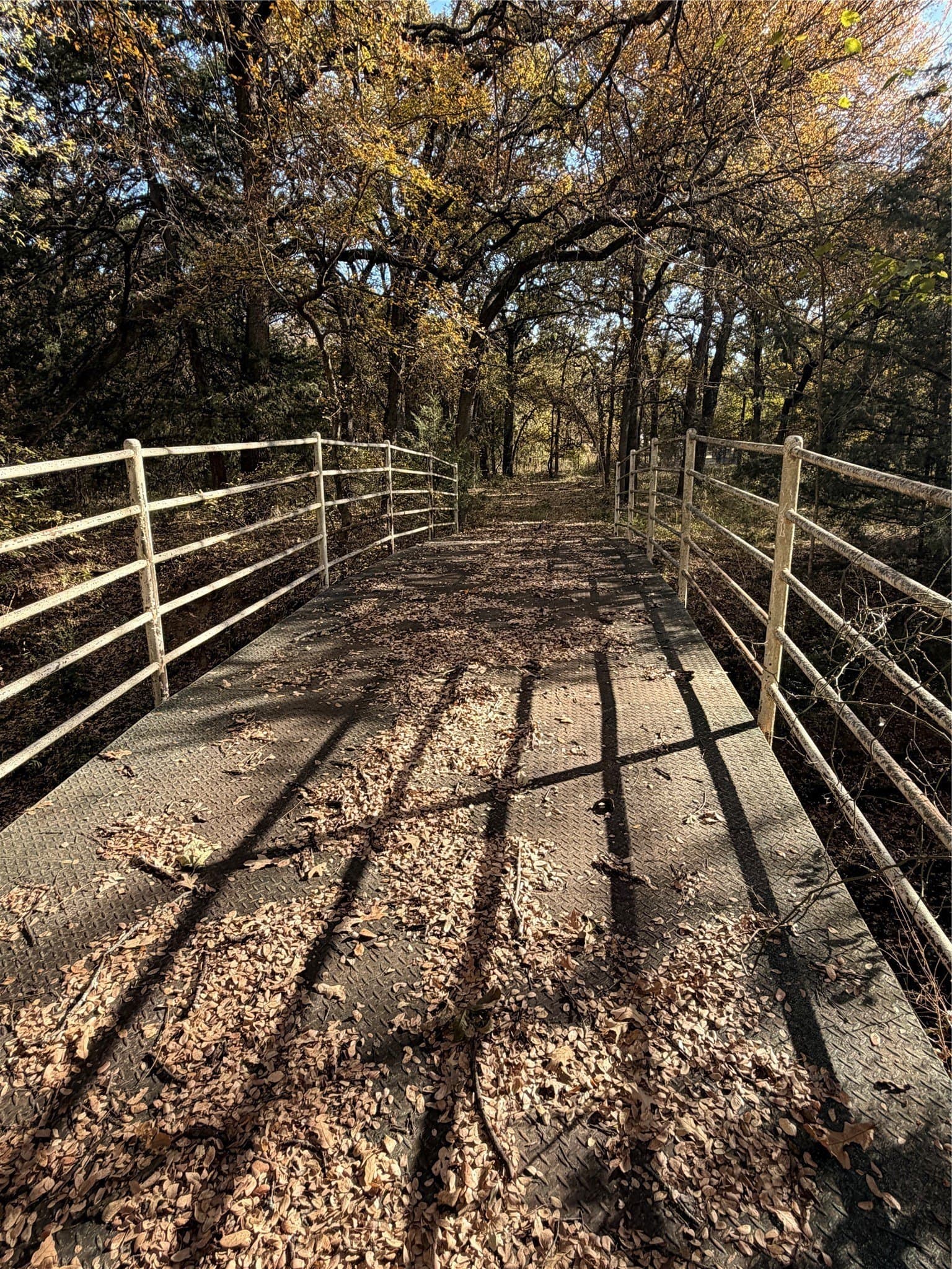 19.84 acres in Wise County - photo 12