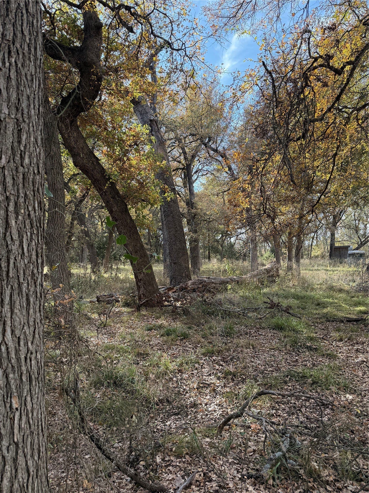19.84 acres in Wise County - photo 33