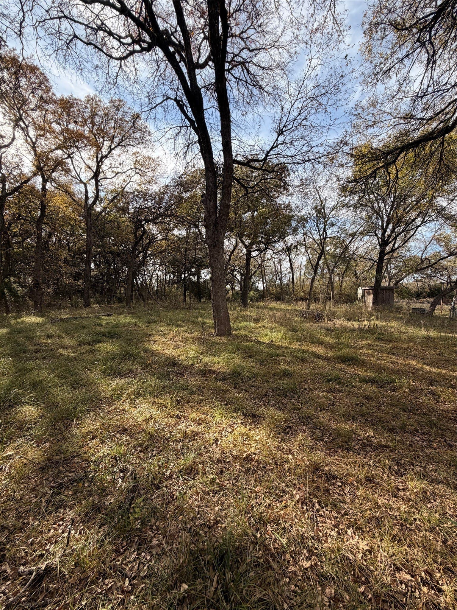 19.84 acres in Wise County - photo 20