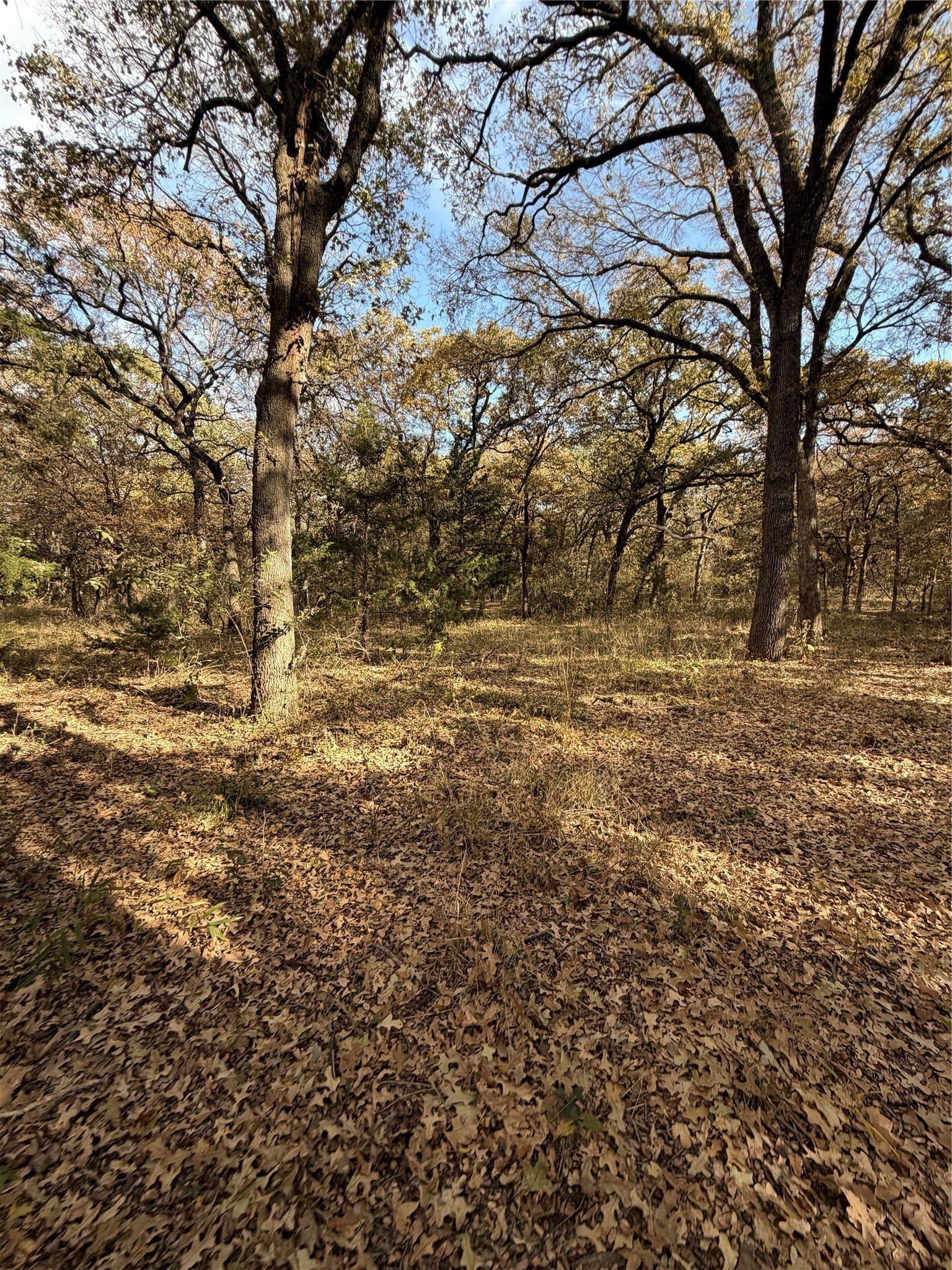 19.84 acres in Wise County - photo 17