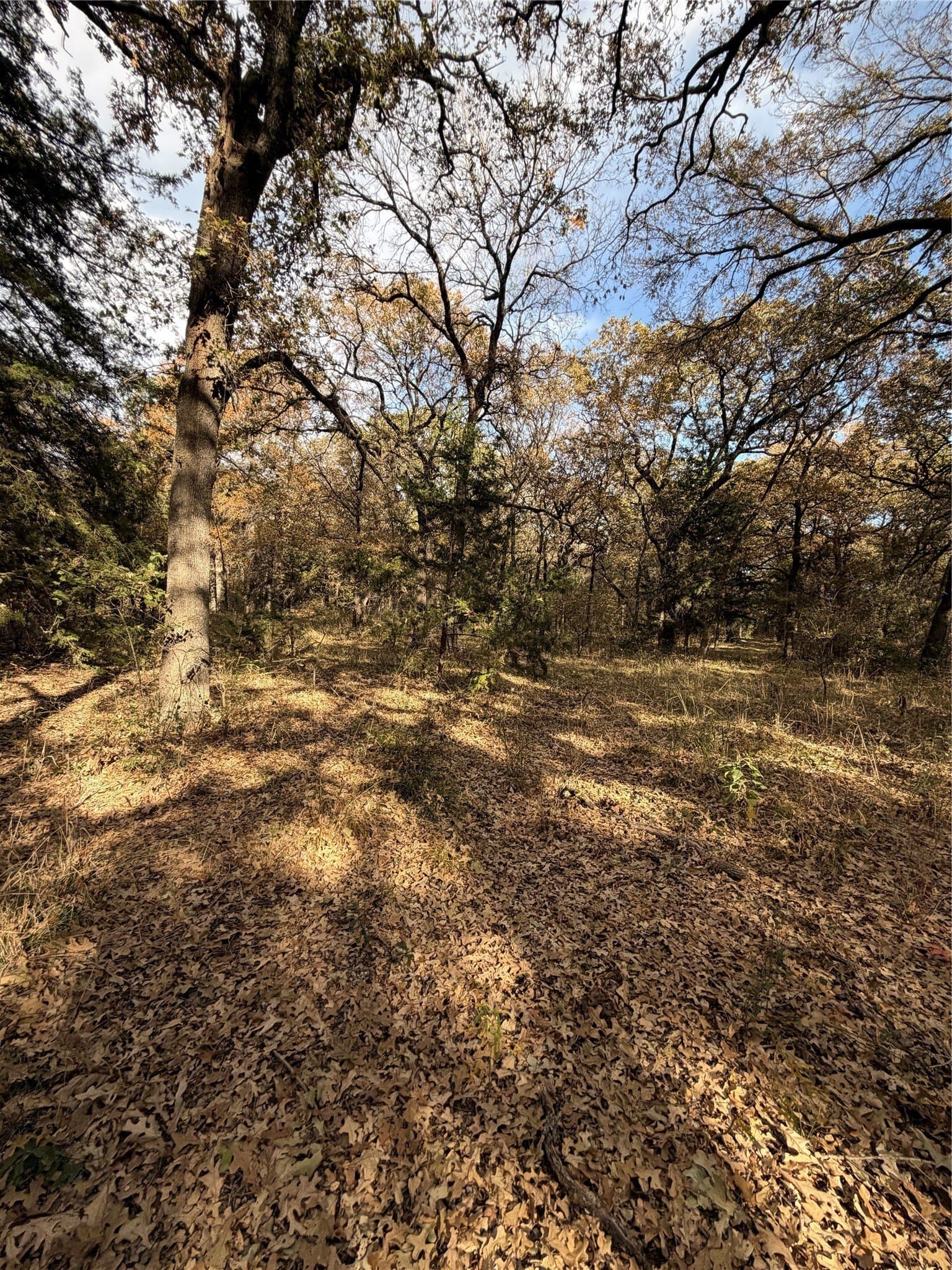 19.84 acres in Wise County - photo 16