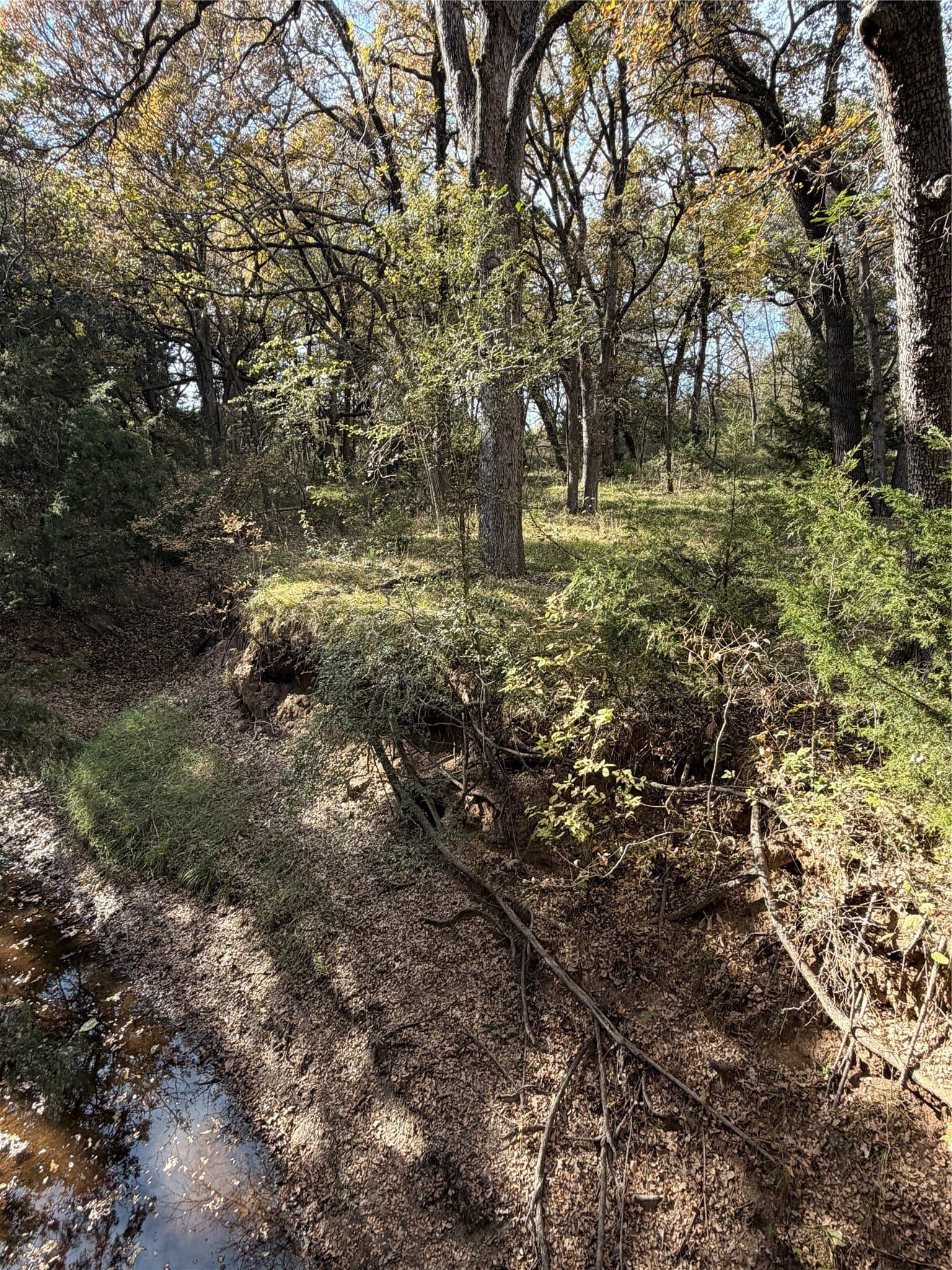 19.84 acres in Wise County - photo 27