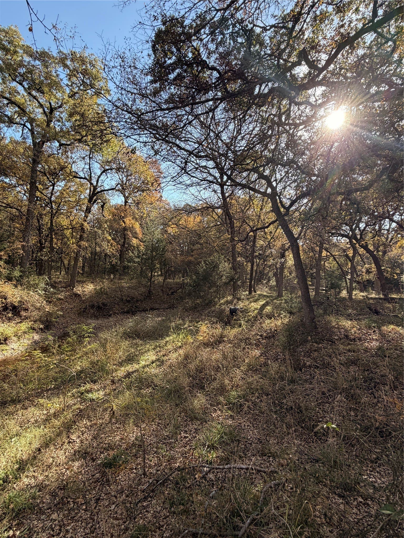 19.84 acres in Wise County - photo 34