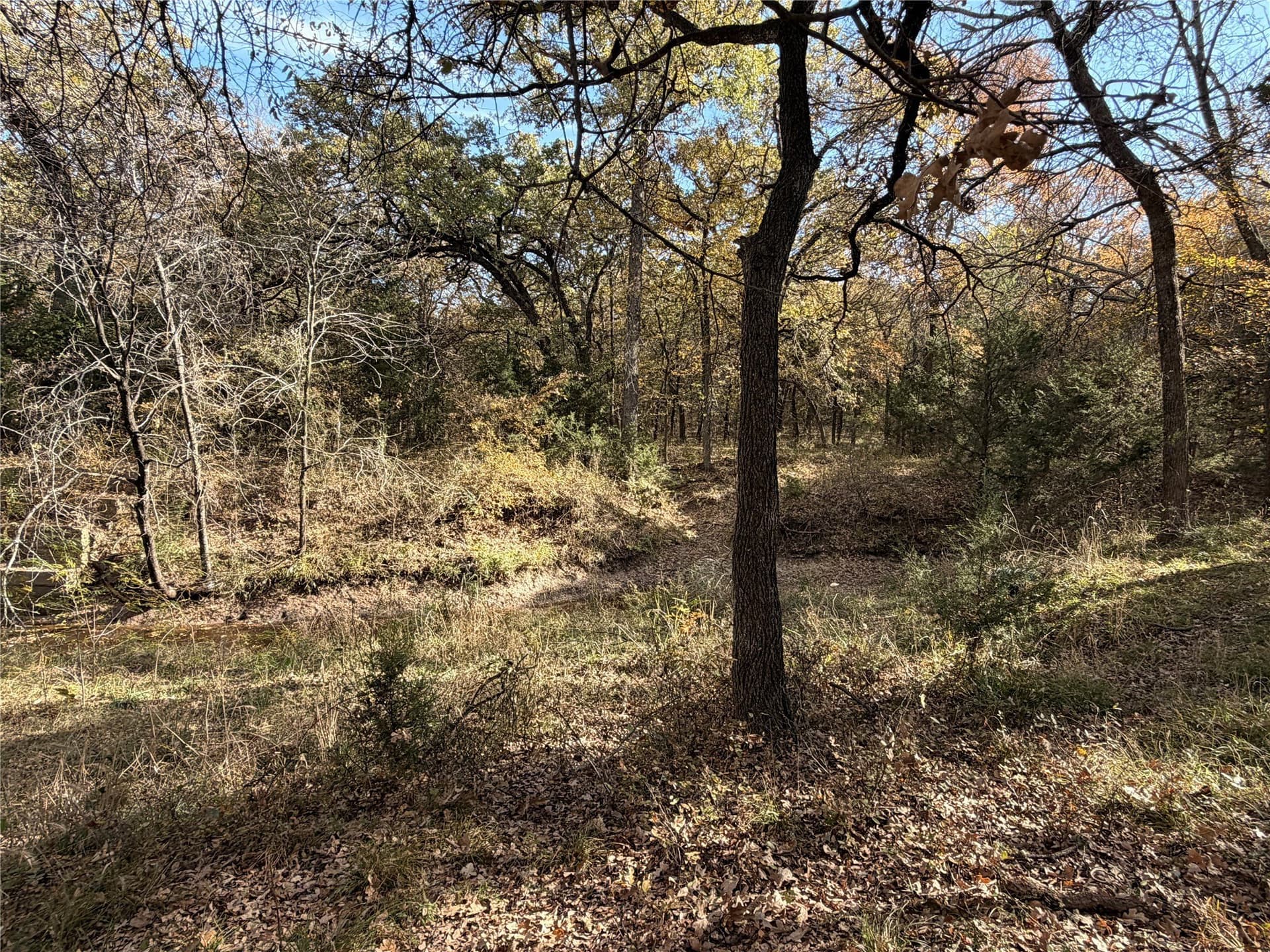 19.84 acres in Wise County - photo 31