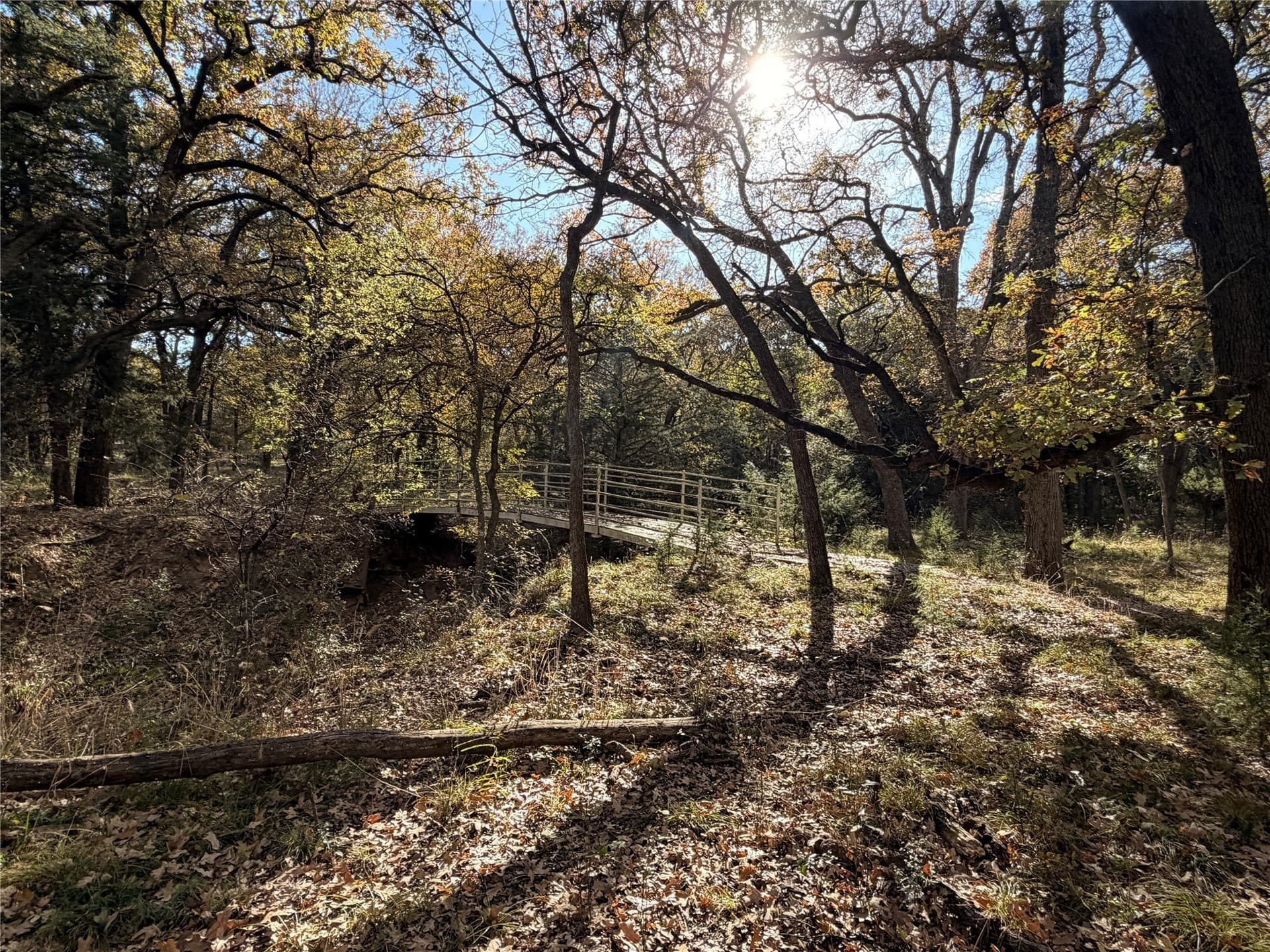 19.84 acres in Wise County - photo 29