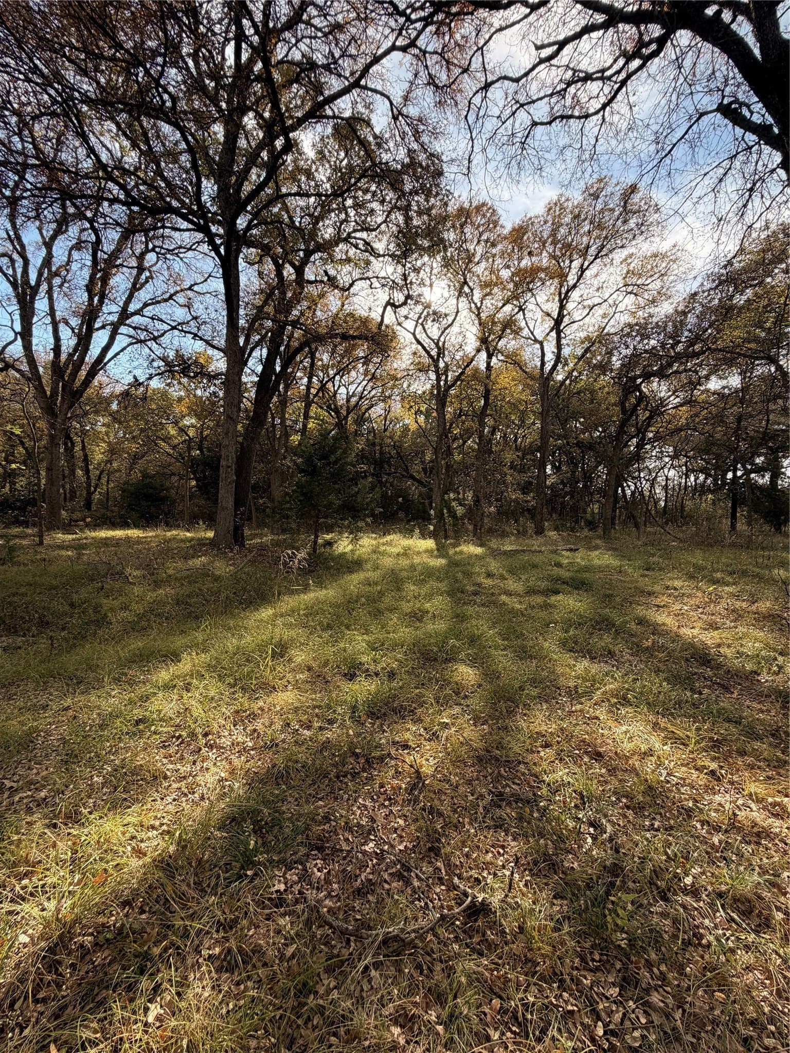 19.84 acres in Wise County - photo 21