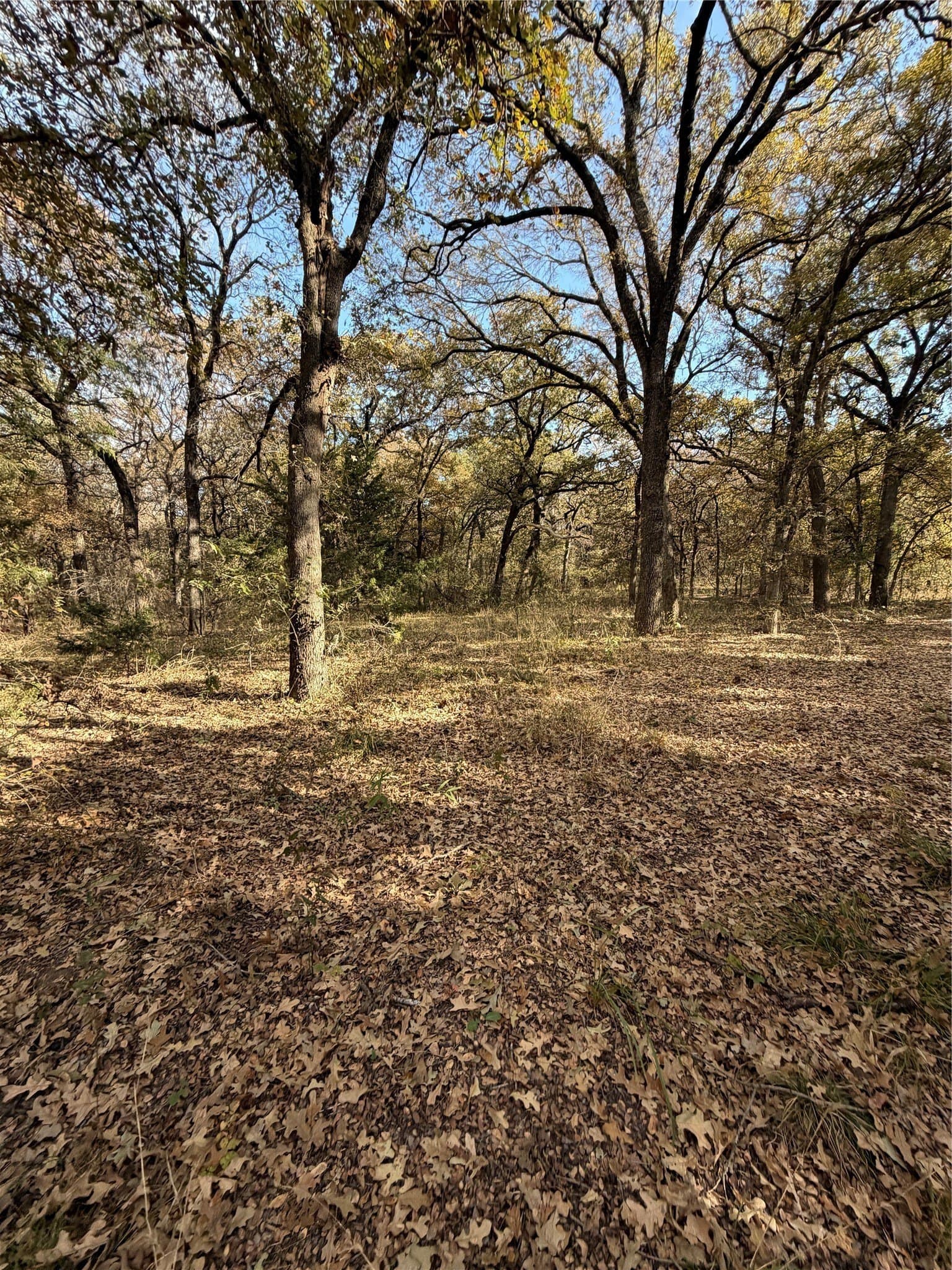 19.84 acres in Wise County - photo 25