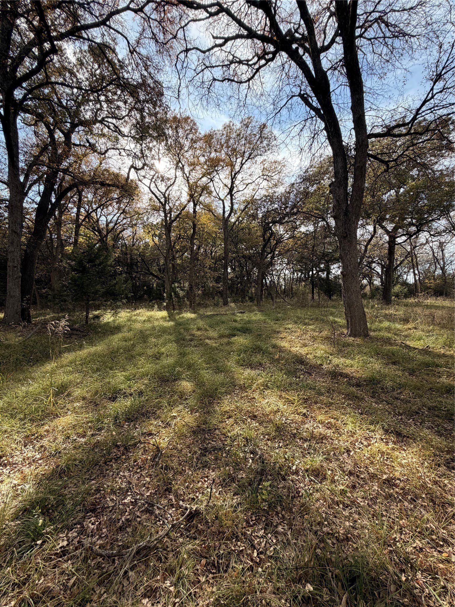 19.84 acres in Wise County - photo 22