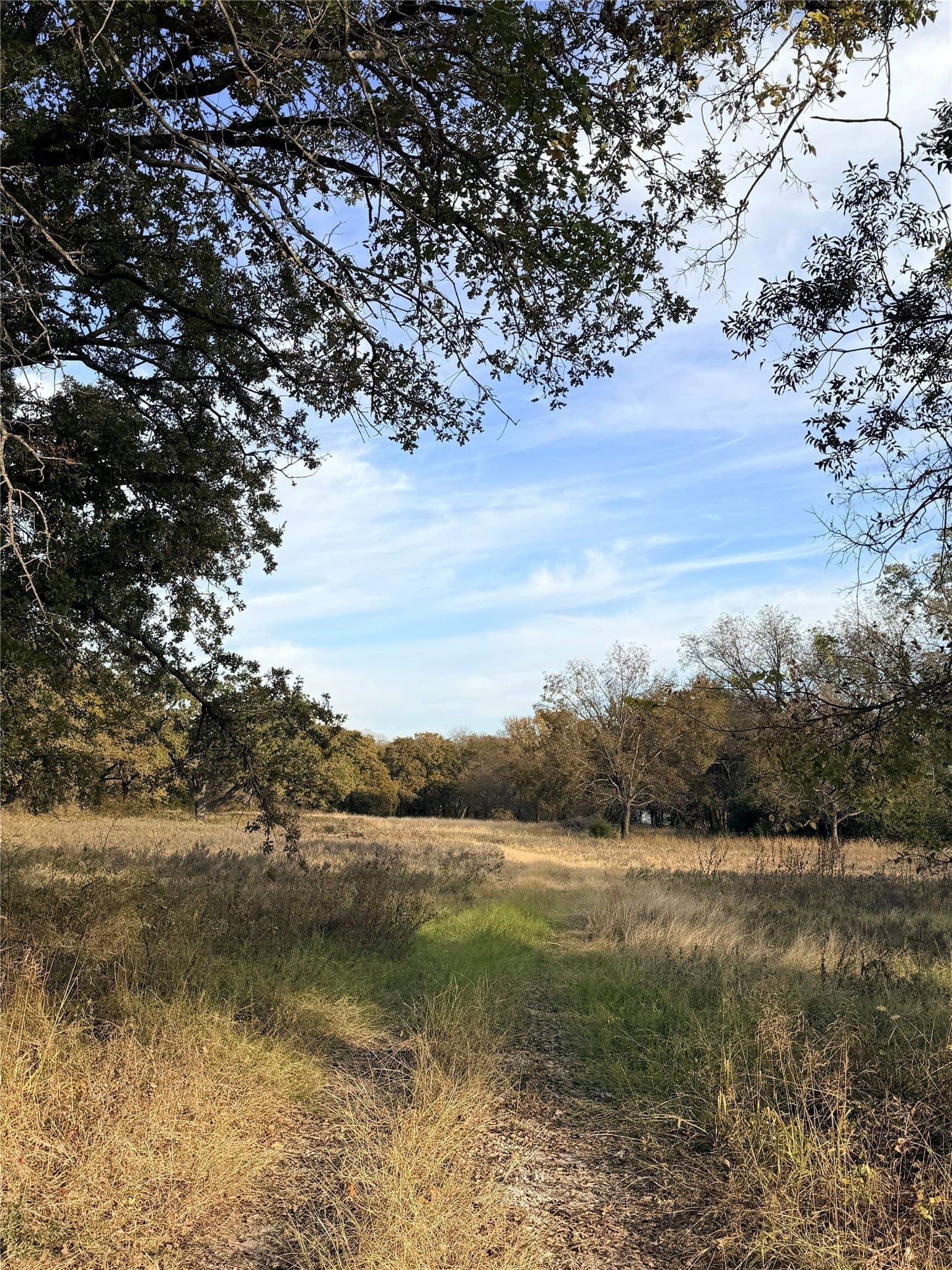 19.84 acres in Wise County - photo 15