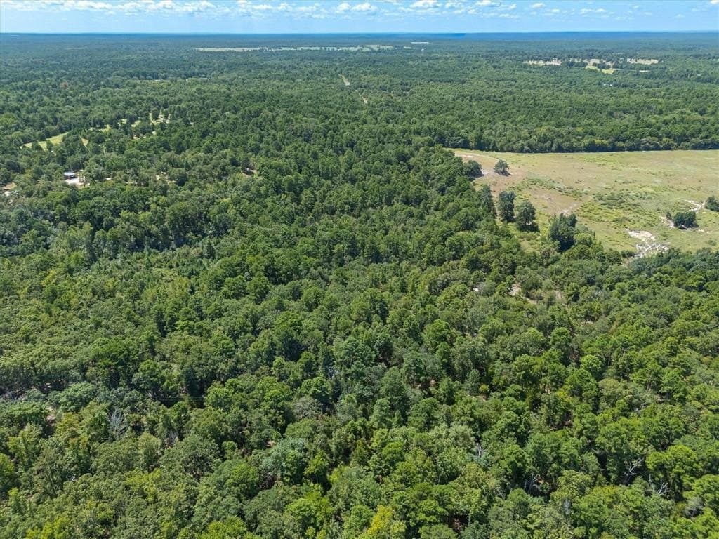 19.36 acres in Wood County gallery image 3