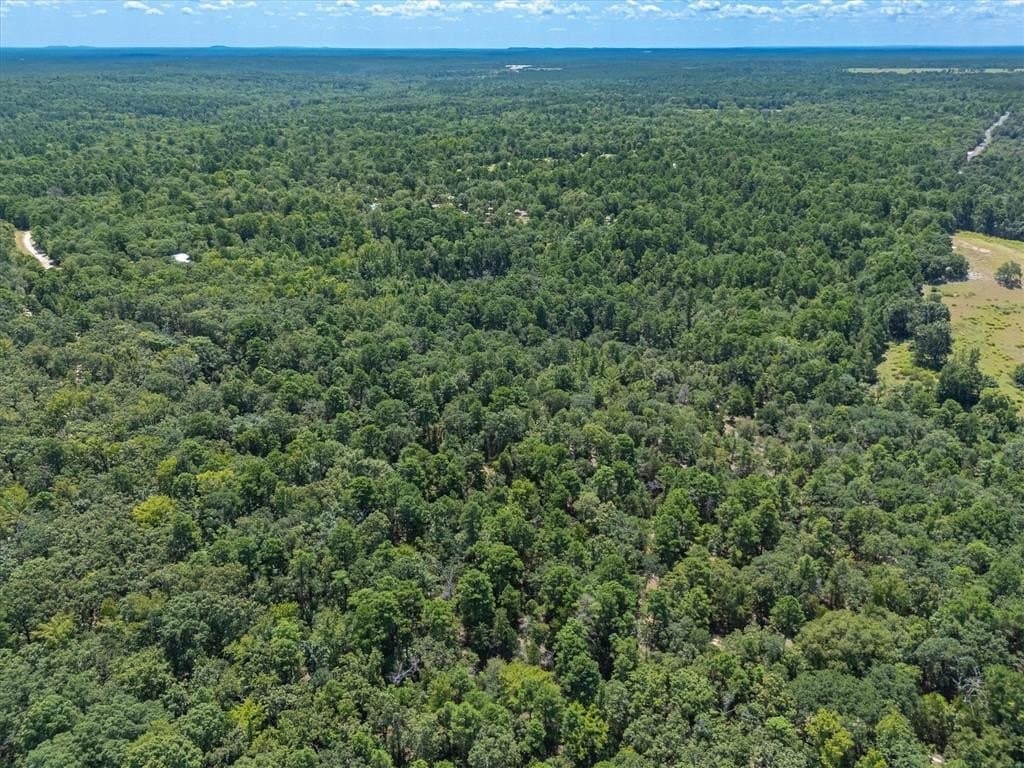 19.36 acres in Wood County featured view
