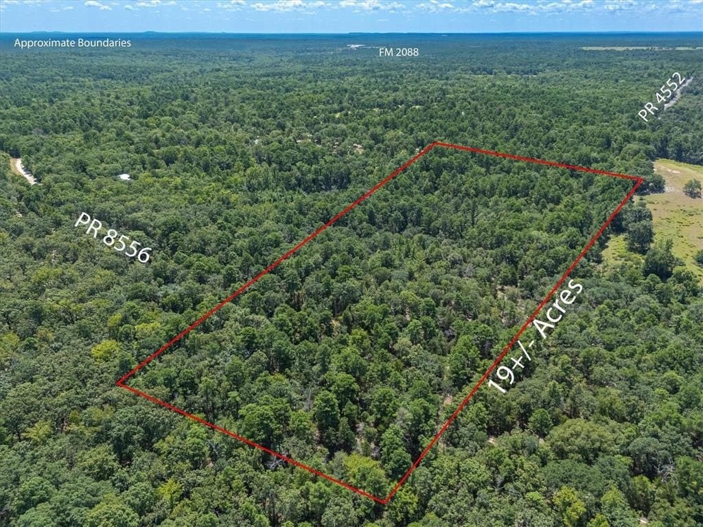 19.36 acres in Wood County gallery image 4