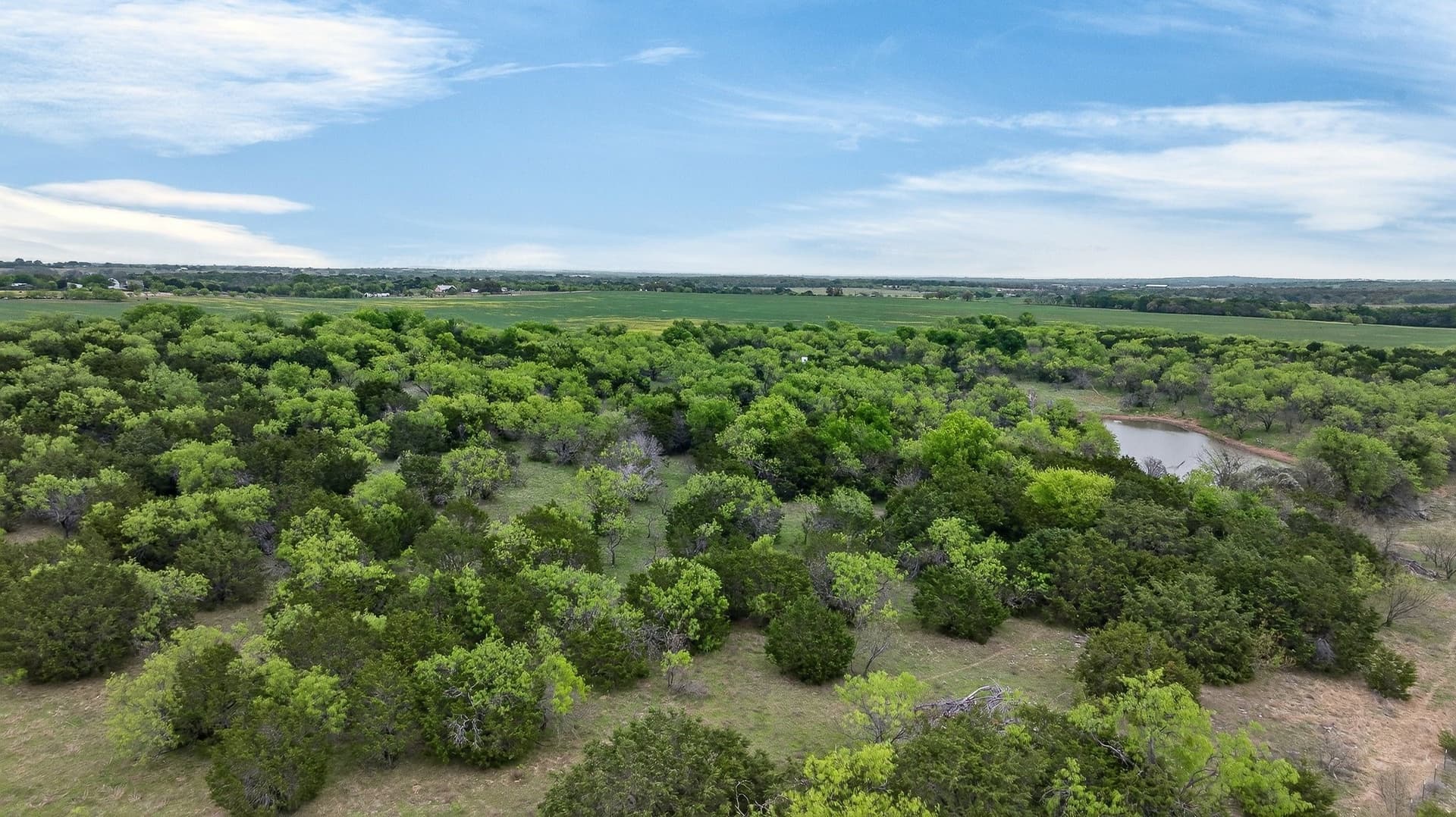 160 acres in Hood County gallery image 3