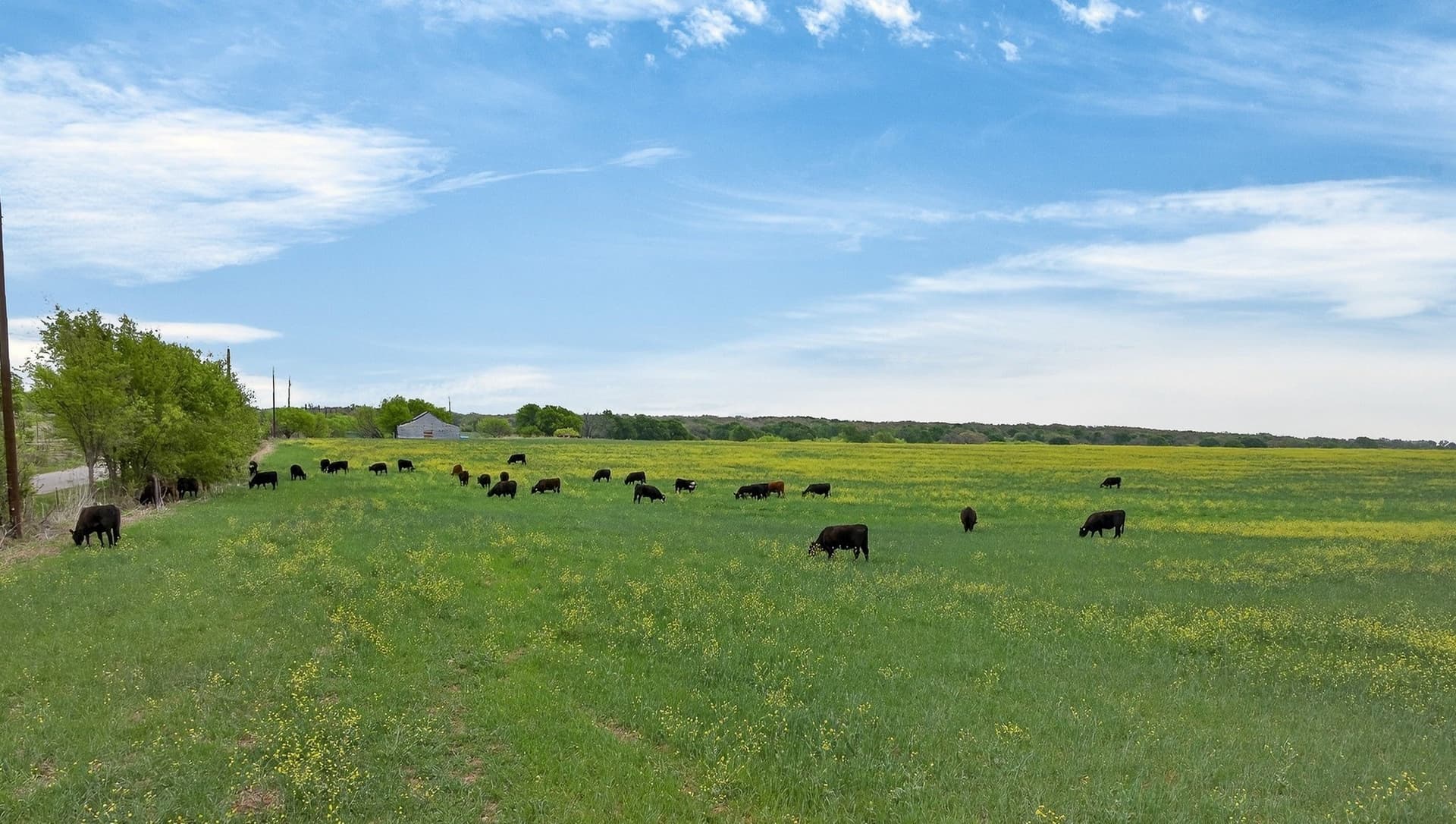 160 acres in Hood County - photo 6