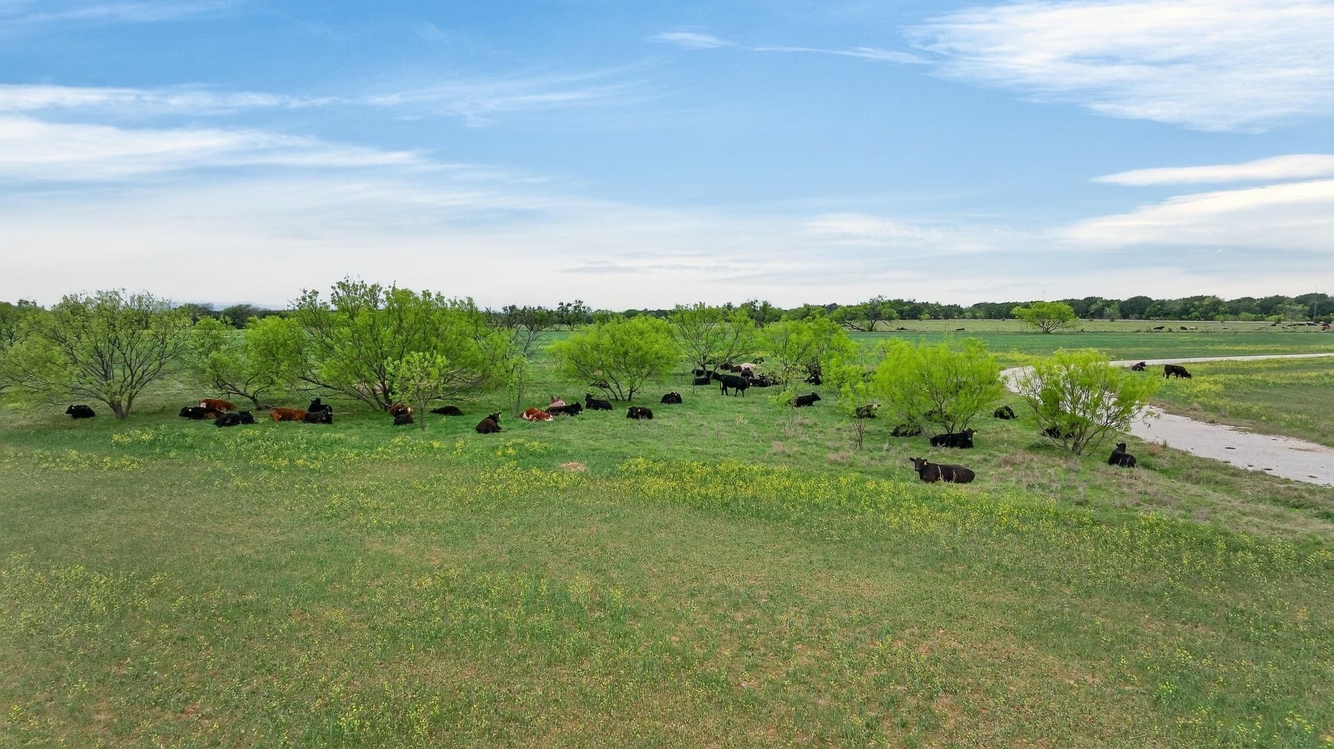 160 acres in Hood County - photo 10