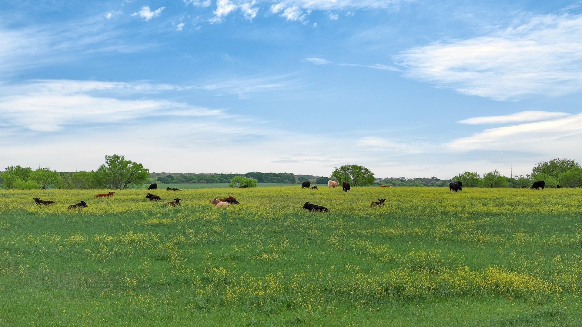 160 acres in Hood County - photo 15