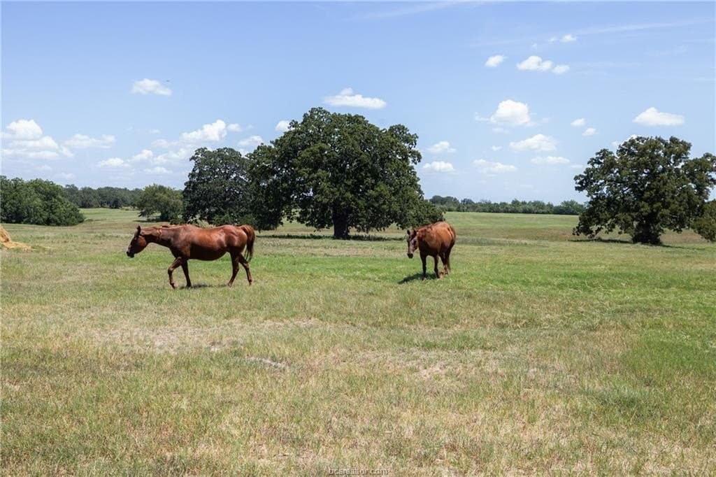 56.7 acres in Madison County - photo 7