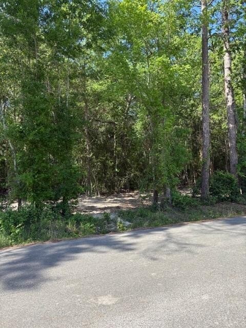 0.32 acres in Texas County - photo 10