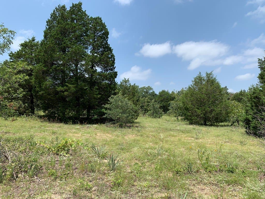 25.6 acres in Henderson County - photo 21