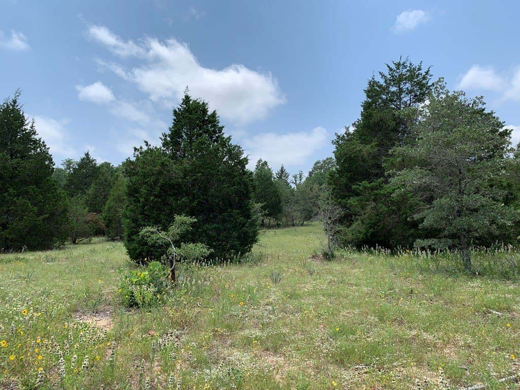 25.6 acres in Henderson County - photo 19