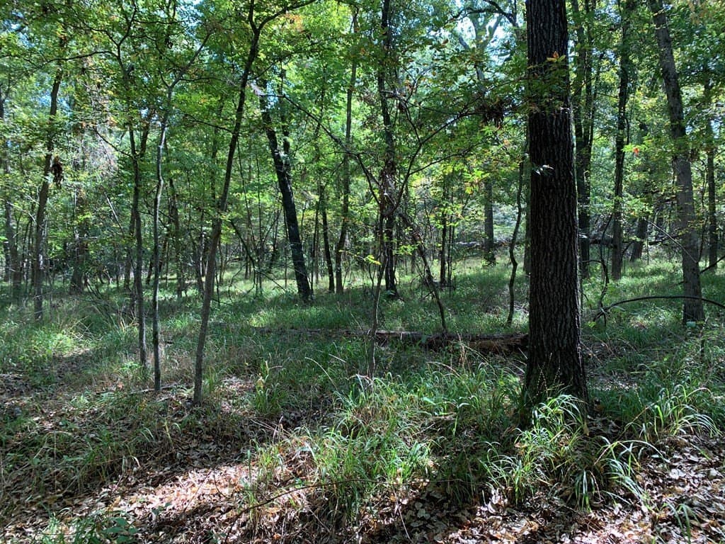 25.6 acres in Henderson County - photo 15