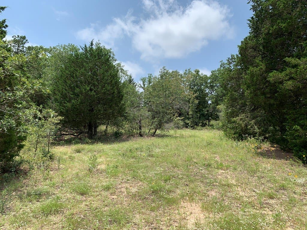 25.6 acres in Henderson County - photo 22