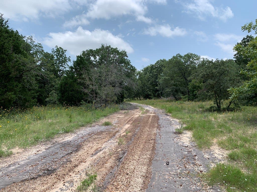25.6 acres in Henderson County - photo 12